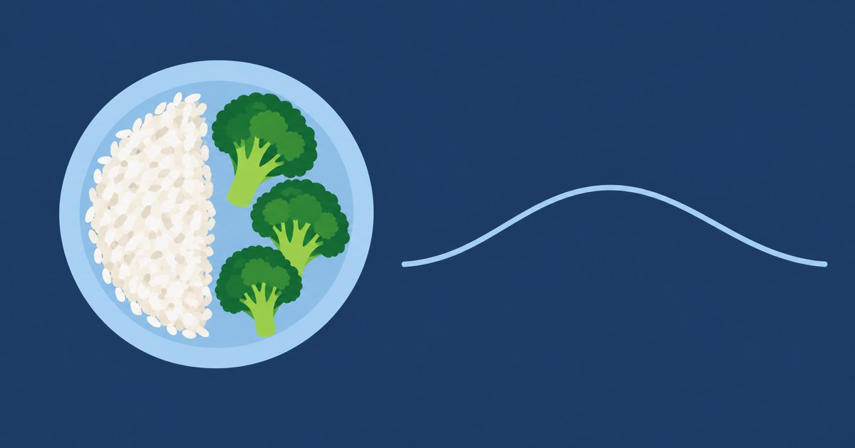Ilustração plana em fundo azul-marinho com um prato visto de cima, metade com arroz branco e metade com buquês de brócolis, e ao lado uma linha curva suave em azul-claro.